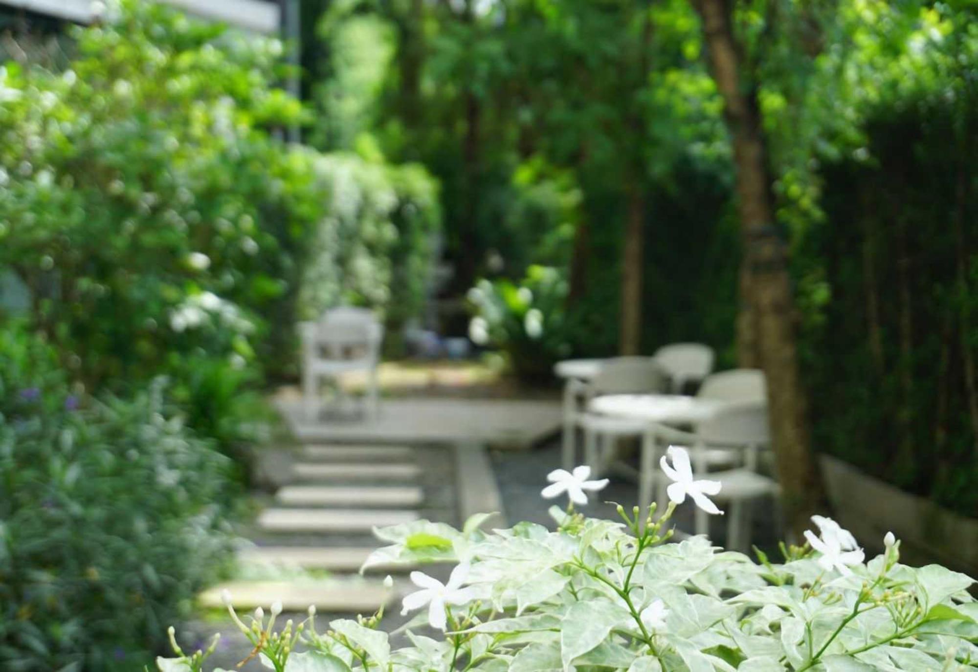 Collection O The Singha Chiangmai Hotel Chiang Mai Dış mekan fotoğraf